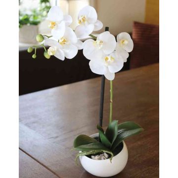 Orchidea phalaenopsis artificiale KAYLA, vaso di ceramica, bianco, 45cm