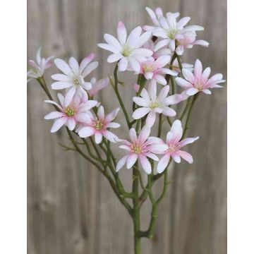Fiore finto di tripolium pannonicum NAMINA, bianco-rosa, 45cm