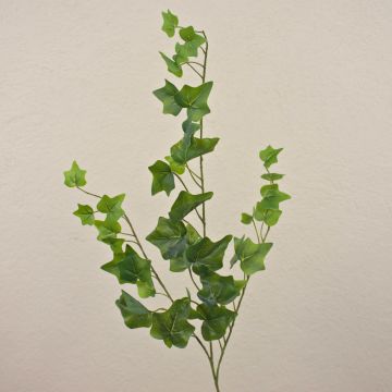 Ramo di edera artificiale DEXTER, verde, 65cm