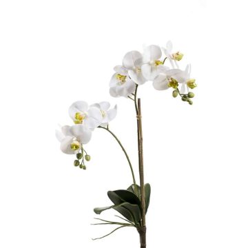 Orchidea finta CANDIDA su stelo, bianco, 65cm, Ø7-8cm