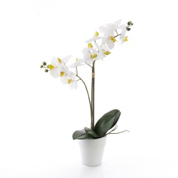 Orchidea finta CANDIDA in vaso di ceramica, bianco, 65cm, Ø7-8cm