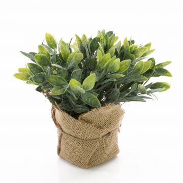 Salvia finta VITUS, in sacco di juta , verde-bianco, 20cm, Ø22cm