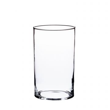 Vaso cilindrico di vetro SANYA FIRE, trasparente, 15cm, Ø10cm