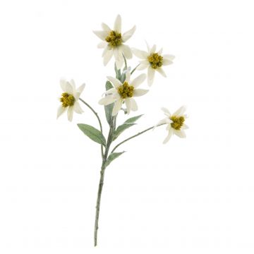 Stella alpina artificiale SOPHIA, bianco, 40cm, Ø5-6cm