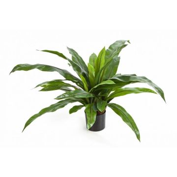 Felce asplenio artificiale JANE, verde, 80cm, Ø80cm