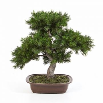 Pino bonsai artificiale SELENA in ciotola per bonsai, verde, 50cm