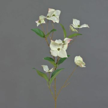 Ramo di corniolo sintetico KOHANA, con fiori, crema, 70cm