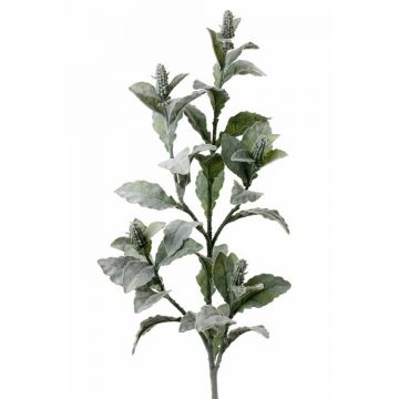 Ramo di stachys finto ODIL, grigio-verde, 105cm