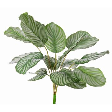 Calathea orbifolia artificiale ZAIDA su stelo, verde, 75cm