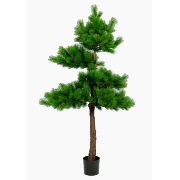 Albero di pino sintetico SIXTEN, tronco vero, verde, 215cm