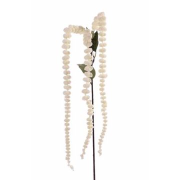 Ramo di amaranto artificiale OLIX, con fiori, crema, 75cm