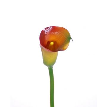 Calla artificiale CHIDORA, arancione-giallo, 55cm, 5x6cm