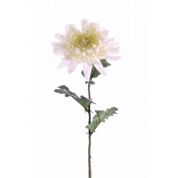 Crisantemo artificiale AMANDI, bianco, 75cm, Ø15cm