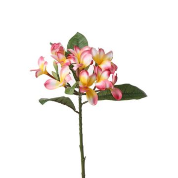 Plumeria artificiale ALDAH, rosa-giallo, 70cm, Ø5cm