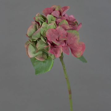 Ortensia artificiale CHIDORI, rosso-verde, 30cm, Ø13cm
