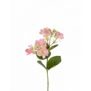 Ramo di gelsomino artificiale EDDI, rosa, 35cm, Ø2-4cm
