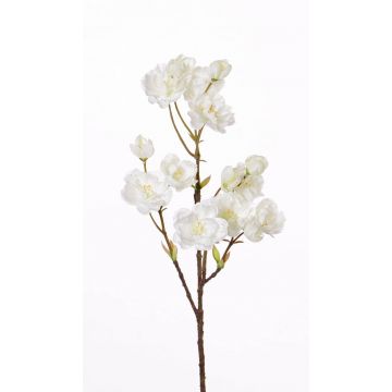 Rametto di ciliegio sintetico SHILA, fiori, bianco, 55cm