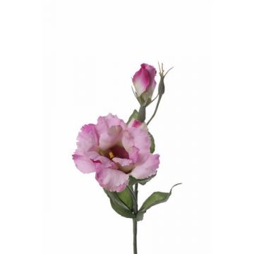 Eustoma artificiale SIRA, rosa-fucsia, 40cm, Ø8cm