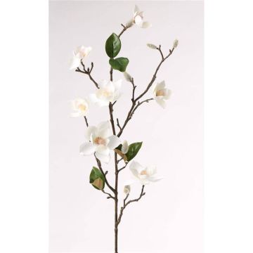 Ramo di magnolia artificiale MASAHI, crema, 90cm, Ø4-8cm