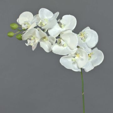 Phalaenopsis artificiale GALINA, crema, 45cm, Ø7-8cm