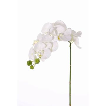 Phalaenopsis artificiale GALINA, crema, 45cm, Ø7-8cm