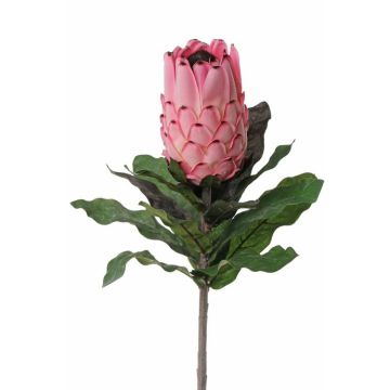 Protea finta NELLI, rosa, 75cm, Ø8cm