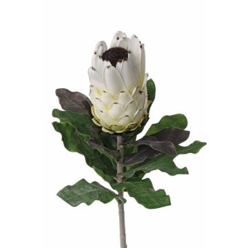 Protea finta NELLI, bianco-giallo, 75cm, Ø8cm