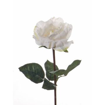 Rosa finta JESSY, crema, 35cm, Ø11cm