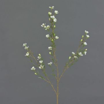 Ramo di hoya finto NIANG, crema, 80cm, Ø2-3cm