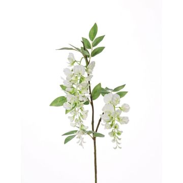 Ramo di glicine sintetico NEZUMI, con fiori, bianco, 105cm
