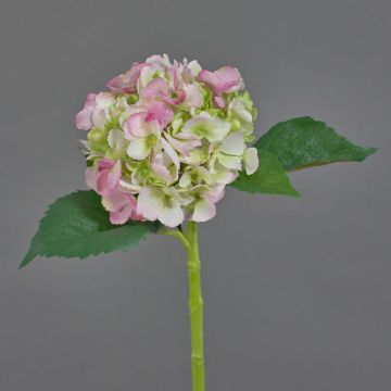 Ortensia artificiale NICKY, rosa-verde, 50cm, Ø15cm