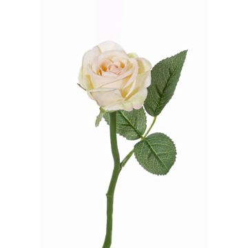 Rosa finta GABI, crema-rosa, 25cm, Ø5cm