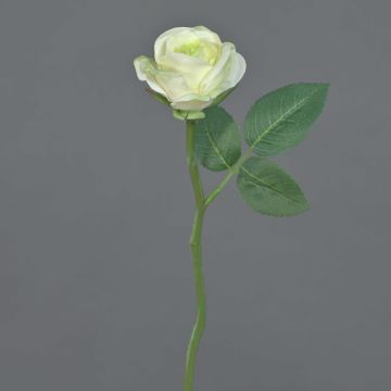 Rosa finta GABI, crema-verde, 25cm, Ø5cm