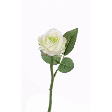 Rosa finta GABI, crema-verde, 25cm, Ø5cm