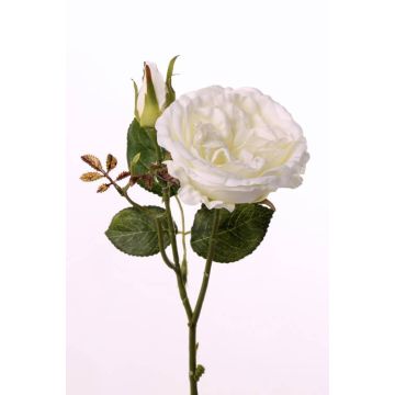 Rosa artificiale JUDY, crema, 35cm, Ø8cm