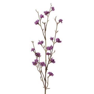 Callicarpa bodinieri finta LARINA, con bacche, viola, 70cm
