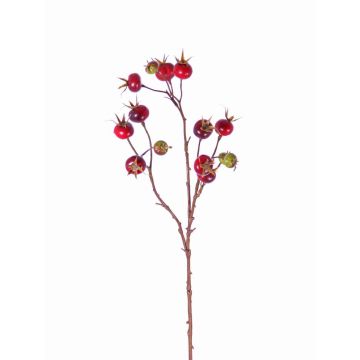 Rosa villosa finta GERDA, con frutti, rosso, 65cm