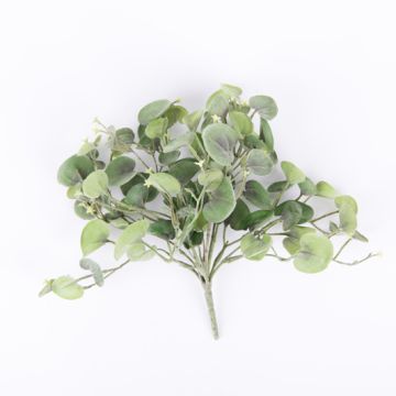 Cespuglio di dichondria RONAS, 85 foglie, verde-grigio, 25cm