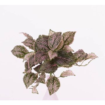 Fittonia artificiale MOLARA su stelo, rosa-verde, 25cm