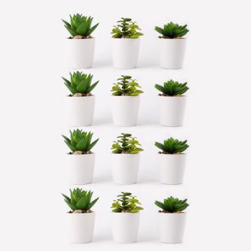 Succulente artificiali EWAN in vaso di ceramica, 12 pezzi, verde, 11-13cm