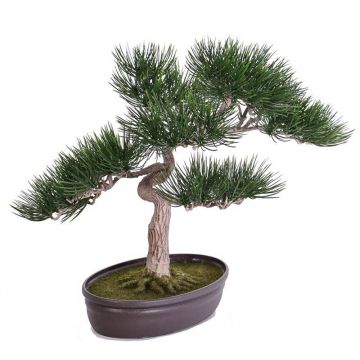 Pino bonsai sintetico ARATA, con radici, in ciotola, verde, 45cm