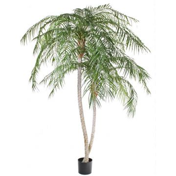 Palma phoenix finta PANCHALI uv-resistente, 225cm