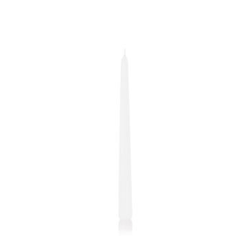 Candela per candeliere PALINA, bianca, 30cm, Ø2,5cm, 13h - Made in Germany