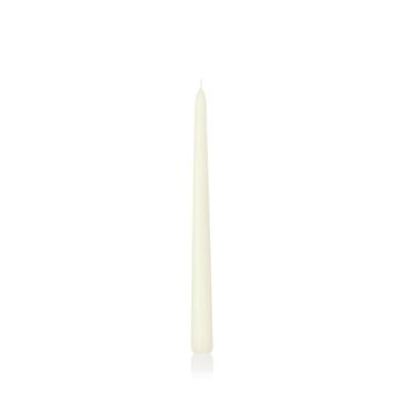 Candela per candeliere PALINA, avorio, 25cm, Ø2,5cm, 8h - Made in Germany