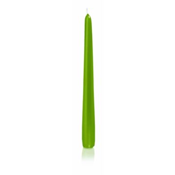 Candela per candeliere PALINA, verde, 25cm, Ø2,5cm, 8h - Made in Germany