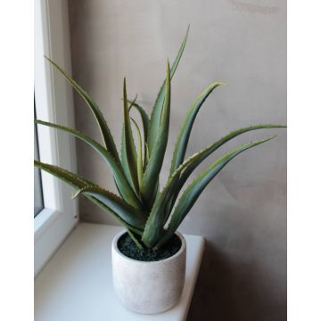 Aloe Vera artificiale SISKA in vaso di cemento, verde, 45cm