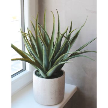 Aloe Vera artificiale SISKA in vaso di cemento, verde, 50cm