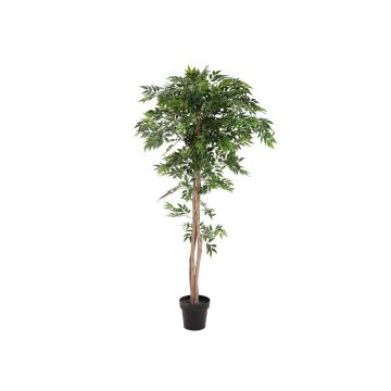 Albero di longifolia finto CAYA, tronco artificiale, verde, 165cm
