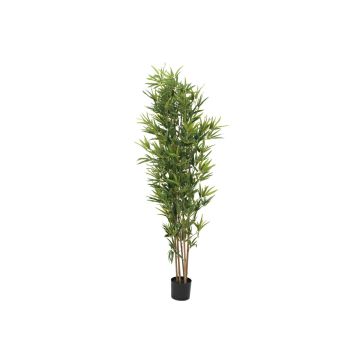 Bambù artificiale ELISSO, tronchi veri, verde, 180cm