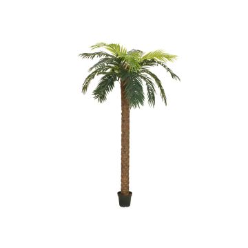Palma phoenix di plastica JOLEEN, 250cm